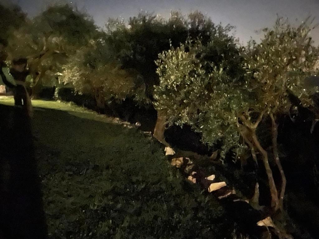 Villa Lorien Massarosa Esterno foto