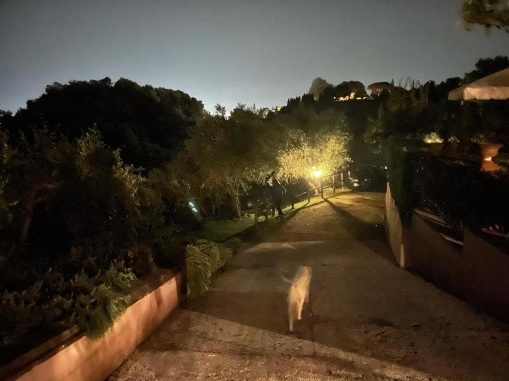 Villa Lorien Massarosa Esterno foto